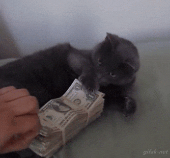 Animation budget