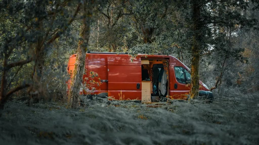 Le fourgon au milieu de la forêt